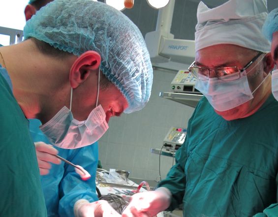 Оперируют Костюк И.П. и профессор Кукушкин А.В.